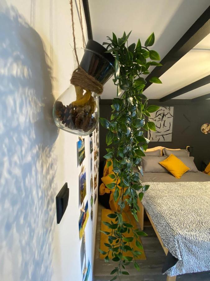 Apartamento Night Lotus Hunedoara Exterior foto